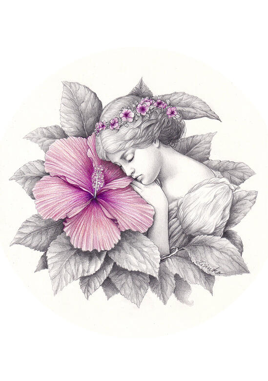 Hibiscus