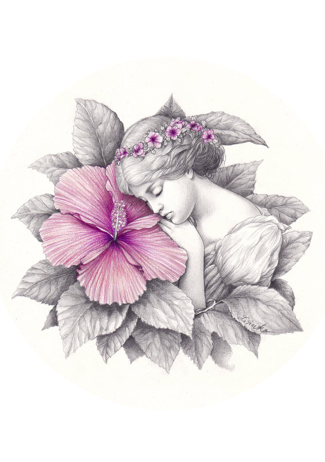Hibiscus • Queen of the Fairies - graphite + carbothello
